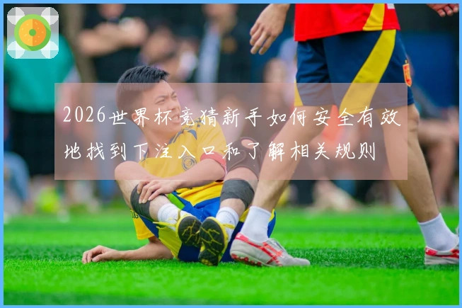 2026世界杯竞猜新手如何安全有效地找到下注入口和了解相关规则