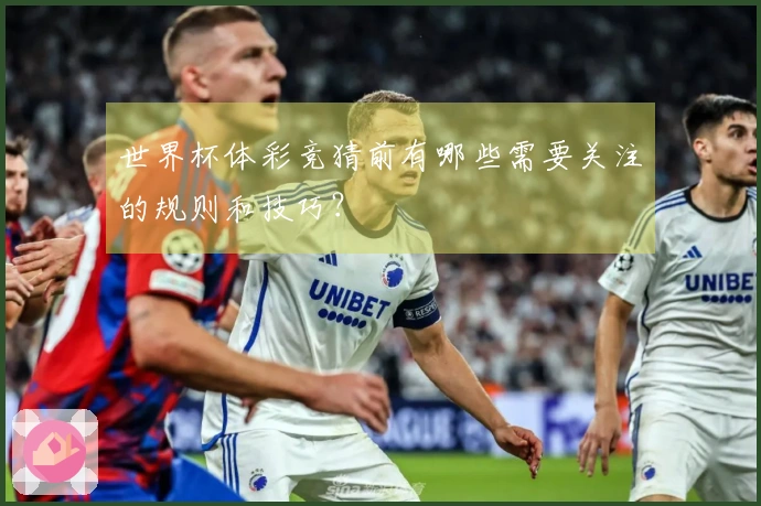 世界杯体彩竞猜前有哪些需要关注的规则和技巧？