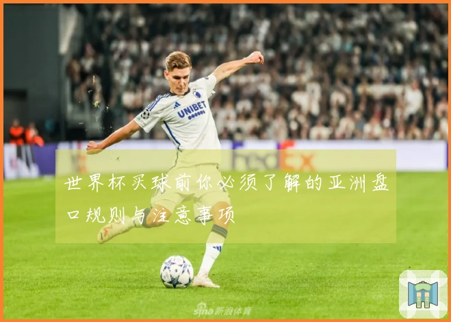 世界杯买球前你必须了解的亚洲盘口规则与注意事项